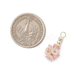 12 шт. подвески из прозрачного акрила в виде цветка&nbsp;PALLOY-JF03895