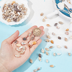 400 шт. бусины из ракушек BSHE-GO0001-05