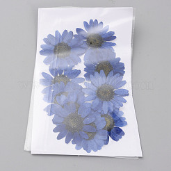 Gepresste Trockenblumen&nbsp;DIY-WH0308-412E-1
