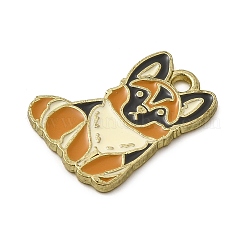 Золотили эмали сплава подвески&nbsp;ENAM-L049-01G-04