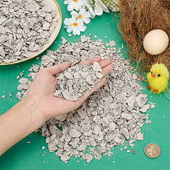1000 g de coquilles d'huîtres pour remplir un vase à la maison&nbsp;DIY-PH0034-80