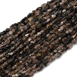 Нити из натуральных киастолитовых бусин G-I389-A26