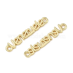 Messing Anhänger & Charms&nbsp;KK-B198-06G