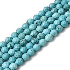 Окрашенные натуральные нити из бисера хаулит&nbsp;G-K376-F06-01