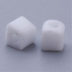 Colori opachi seme di vetro borda&nbsp;SEED-JP0002-A21