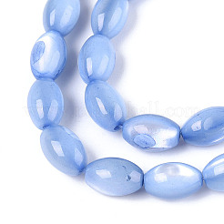 Нити бусин из натуральной ракушки трохус&nbsp;X-SHEL-K006-19-01A