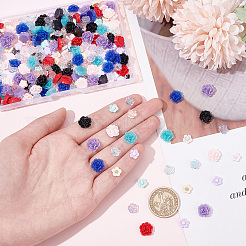 300 шт. 3 стиля прозрачных и непрозрачных смоляных кабошонов CRES-CP0001-03