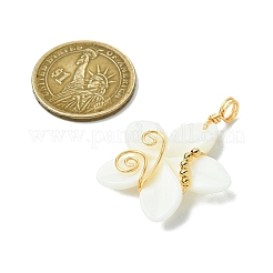 Подвески из натуральных резных пресноводных ракушек&nbsp;PALLOY-JF03391