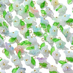 Breloques de fleurs en acrylique&nbsp;PALLOY-CJ00025