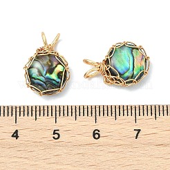 Anhänger aus natürlicher Paua-Muschel&nbsp;PALLOY-JF05610