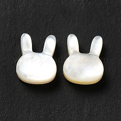 Натуральные белые бусины из ракушек SHEL-G014-12