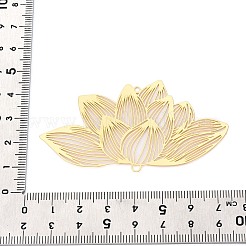 Прелести железного соединителя&nbsp;IFIN-N013-01G