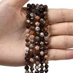 Природные окаменелое дерево бисер пряди G-Z119-A21-01