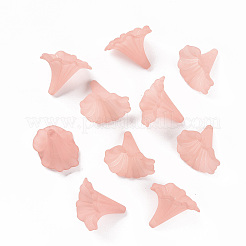 Прозрачные акриловые бусины&nbsp;BSF796-C11