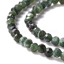Naturperlen Stränge SERAPHINITE&nbsp;G-A021-07B