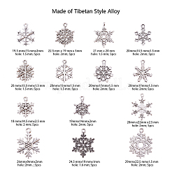 Тибетский сплав стиля большие кулоны TIBE-CJ0001-04