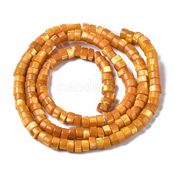 Нити бусин из натуральной ракушки трохус&nbsp;SHEL-S278-027F