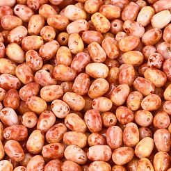 Perlas de vidrio de Picasso&nbsp;SEED-N012-10C