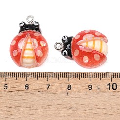 Pendentifs en résine transparente et opaque&nbsp;RESI-P048-02C-P