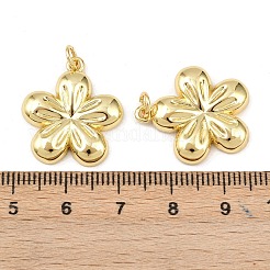 Латунные подвески&nbsp;KK-L251-28G