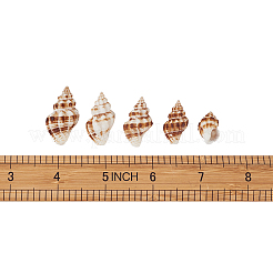 Спиральные подвески оболочки&nbsp;SSHEL-TA0001-02