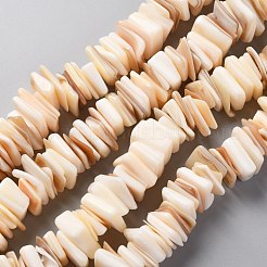 天然淡水シェルビーズ連売り  正方形  ミックスカラー  11~16.5x10~13x1~7mm  穴：1.2mm  約190個/連  14.96インチ（38cm）&nbsp;SHEL-C001-10