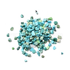 Окрашенные и нагретые бусины из натуральной магнезитовой крошки G-L453-01