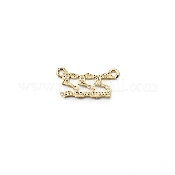 Pendentifs en alliage&nbsp;PALLOY-TAC0023-38B-02