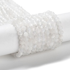 Бусины из натурального радужного лунного камня&nbsp;LS-G-J400-E12-01