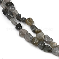 Природные лабрадорита бисер нитей G-Q060-D02