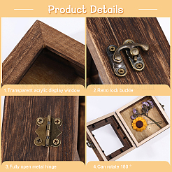 Квадратный деревянный витринный шкаф для насекомых с белой циновкой из пеноматериала eva внутри CON-WH0086-103A