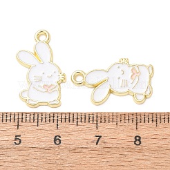 Emaille Anhänger Legierung&nbsp;AL-CBA2679-03G