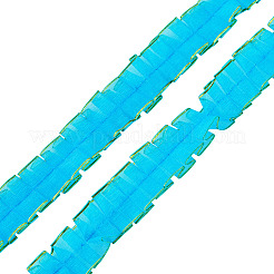 Ruban de dentelle en polyester double couche de 10 m&nbsp;OCOR-TA0004-14F
