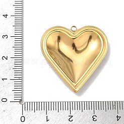 Подвески из нержавеющей стали 304 с эмалью&nbsp;STAS-K295-52G-01