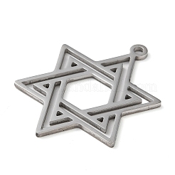 Подвески из нержавеющей стали 304&nbsp;LS-STAS-R116-01P