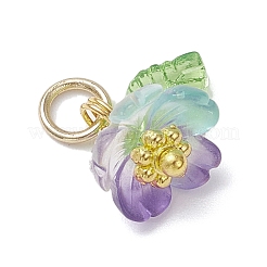 Подвески из прозрачной смолы и акрила&nbsp;PALLOY-JF04358