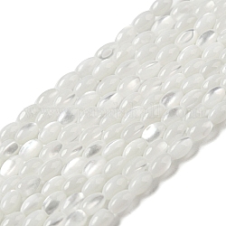 Brins de perles de coquillages naturels de troca, ovale, fumée blanche, 4~4.5x2.8mm, Trou: 0.5mm, Environ 89~90 pcs/chapelet, 15.55~15.94'' (39.5~40.5 cm)