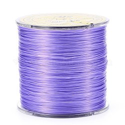 Flat Japanese Crystal Elastic Stretch Thread, for Bracelets Gemstone Jewelry Making Beading Craft, Purple, 0.5mm, about 328 yards(300m)/roll