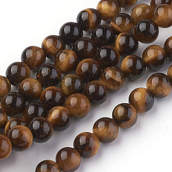 Chapelets de perles d'œil de tigre naturel, ronde, verge d'or, 6mm, Trou: 1mm, Environ 30 pcs/chapelet, 7.4 pouce