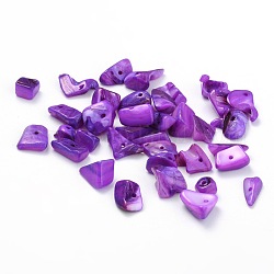 Natural Freshwater Shell Chips Beads, Shell Shards, Dyed, Indigo, 8~17x5~7x4~6mm, Hole: 1mm, about 640pcs/500g