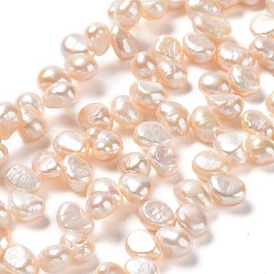 Hebras de perlas de agua dulce cultivadas naturales, grado 4a+, dos lados pulidos, crema, 8~10x6.5~7x5~6mm, agujero: 0.5 mm, aproximamente 80 pcs / cadena, 16.42'' (41.7 cm)