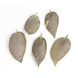 Electroplated Natural Leaf Big Pendants, with Iron Findings, Antique Bronze Plated, 70~100x30~50x1mm, Hole: 3x6mm