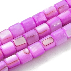 Natural Freshwater Shell Beads Strands, Dyed, Column, Magenta, 4~5.5x5mm, Hole: 0.6mm, about 74~75pcs/strand, 14.76~14.96 inch(37.5~38cm)