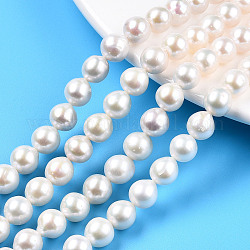 Fili di perle di keshi di perle barocche naturali, perla d'acqua dolce coltivata, tondo, colore conchiglia, 7.5~8.5x8mm, Foro: 0.7 mm, circa 49pcs/filo, 15.63 pollice ~ 15.83 pollici (39.7~40.2 cm)