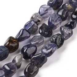Perles naturelles Iolite brins, pépites, 9~13.5x8~9.5x4~8mm, Trou: 0.8mm, Environ 42~43 pcs/chapelet, 15.35~15.94'') (39~40.5 cm)