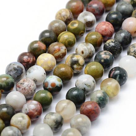 Океан Природный яшмы бисер нитей G-P326-06-6mm-1