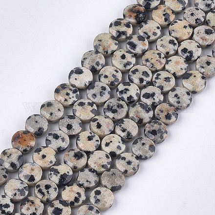 Chapelets de perles en jaspe dalmatien naturelle G-S354-17-1