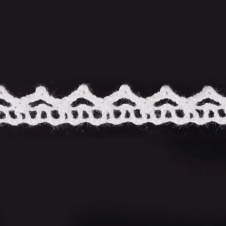 Lace Trim Nylon Ribbon for Jewelry Making ORIB-F003-164-1