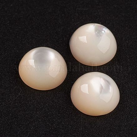 Natural White Shell Mother of Pearl Shell Cabochons SSHEL-G014-13-1