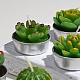Kaktus Paraffin rauchfreie Kerzen DIY-G024-C-4